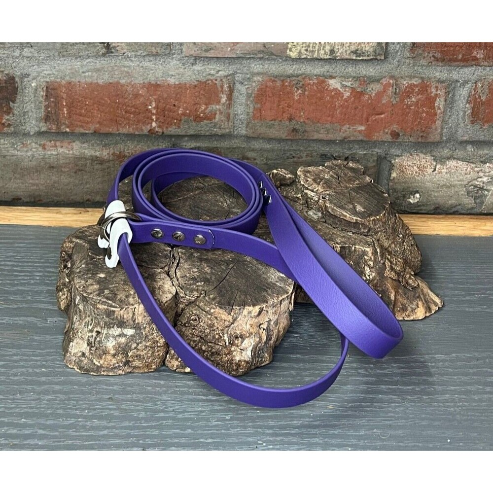 6’ Biothane Convertible Slip Dog Leash No Pull Harness or Head Halter 3/4" wide